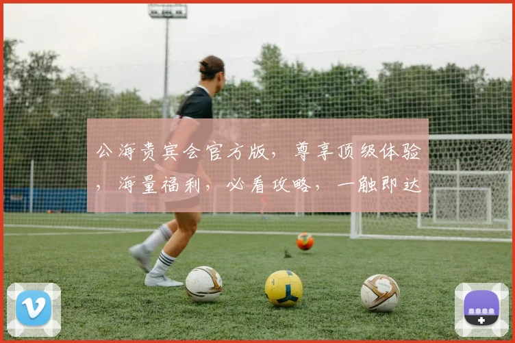 公海贵宾会官方版，尊享顶级体验，海量福利，必看攻略，一触即达，精彩不停