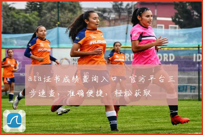 ata证书成绩查询入口，官方平台三步速查，准确便捷，轻松获取