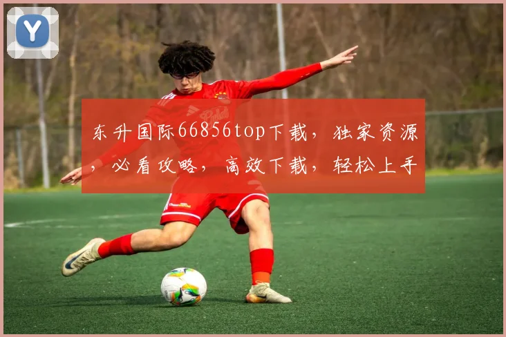 东升国际66856top下载，独家资源，必看攻略，高效下载，轻松上手，三步实现