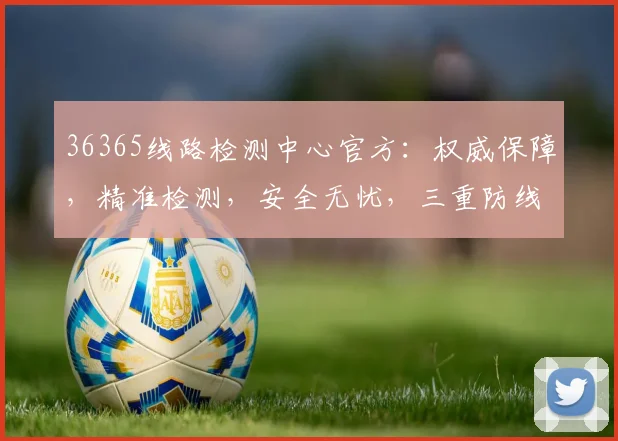 36365线路检测中心官方：权威保障，精准检测，安全无忧，三重防线，守护您的网络世界，不容错过