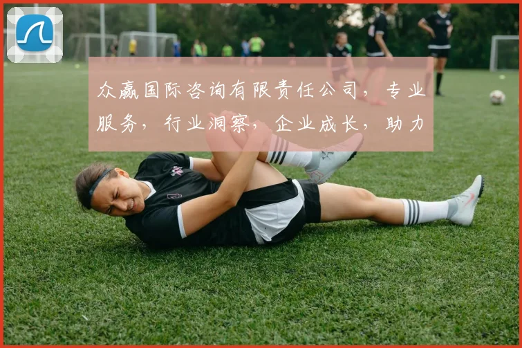 众赢国际咨询有限责任公司，专业服务，行业洞察，企业成长，助力发展，共赢未来